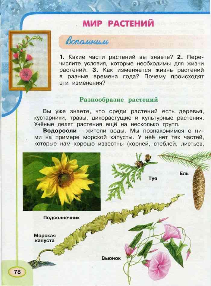 Учебник Окружающий мир 3 класс Плешаков Новицкая часть 1 читать онлайн